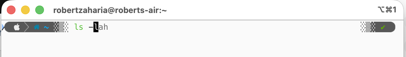iTerm2 terminal showing zsh-autosuggestions and syntax highlighting