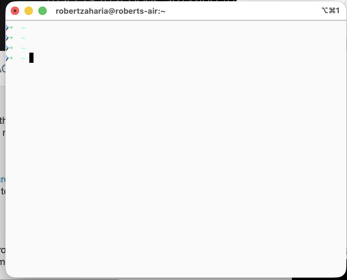 iTerm2 with Oh My Zsh welcome banner and updated prompt