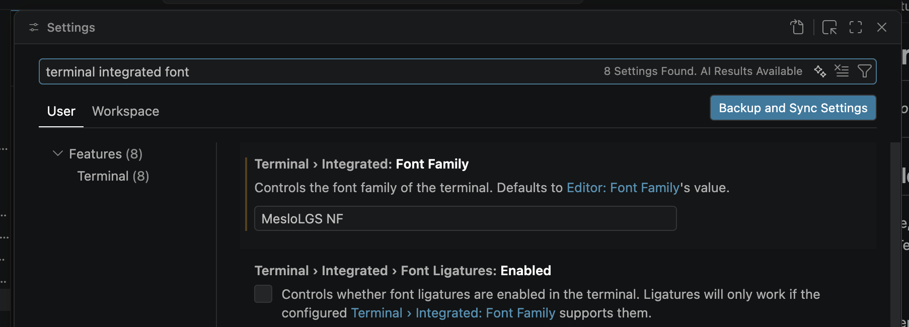 VSCode integrated terminal font setting set to MesloLGS NF